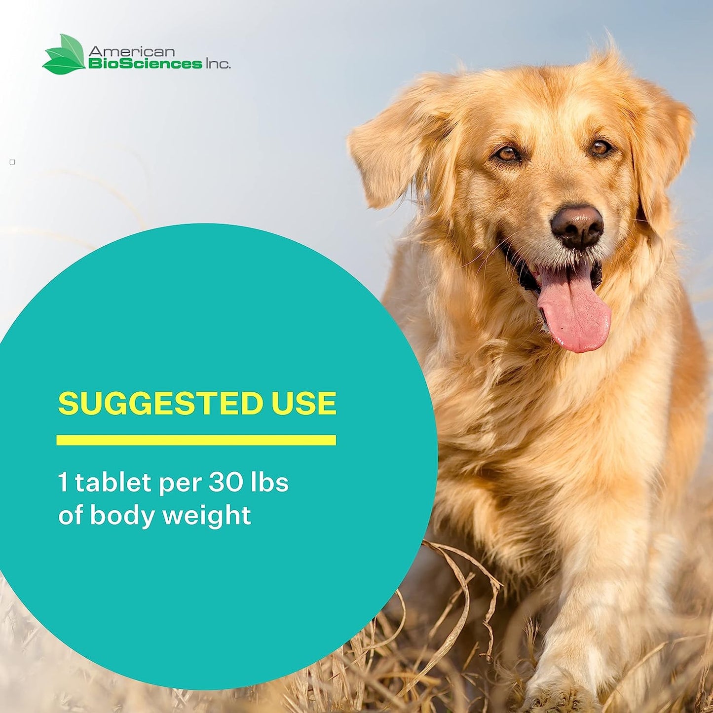 
                  
                    DGP® - All Natural Herbal Joint Formula for Pets
                  
                