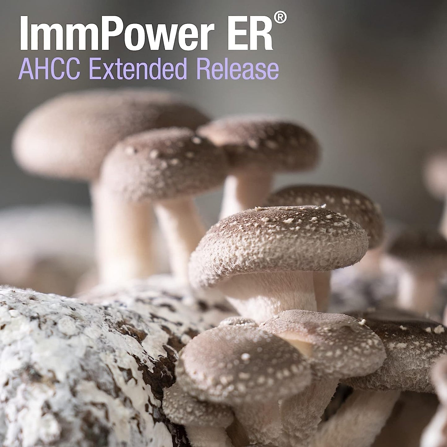 
                  
                    ImmPower ER® - AHCC® Extended Release Natural Immune Support Supplement
                  
                