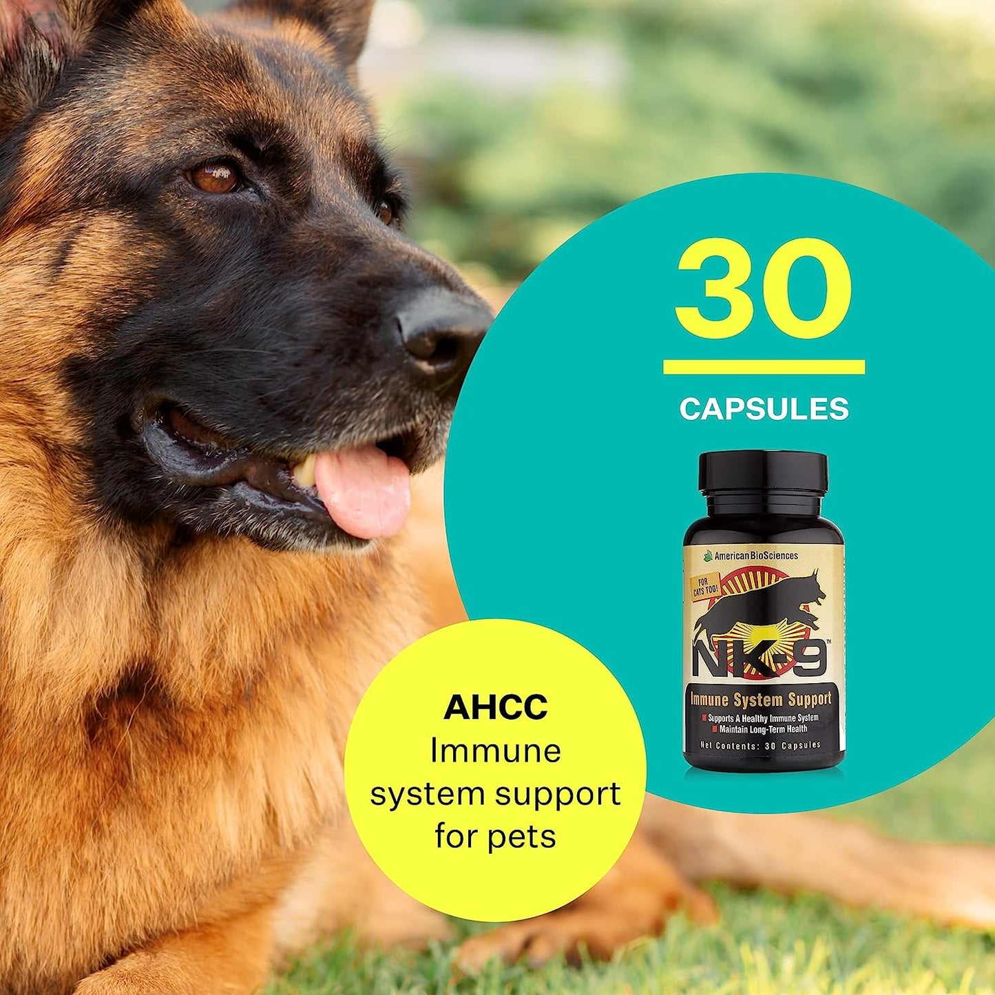 
                  
                    NK-9® - AHCC Immune System Mushroom Extract for Pets
                  
                