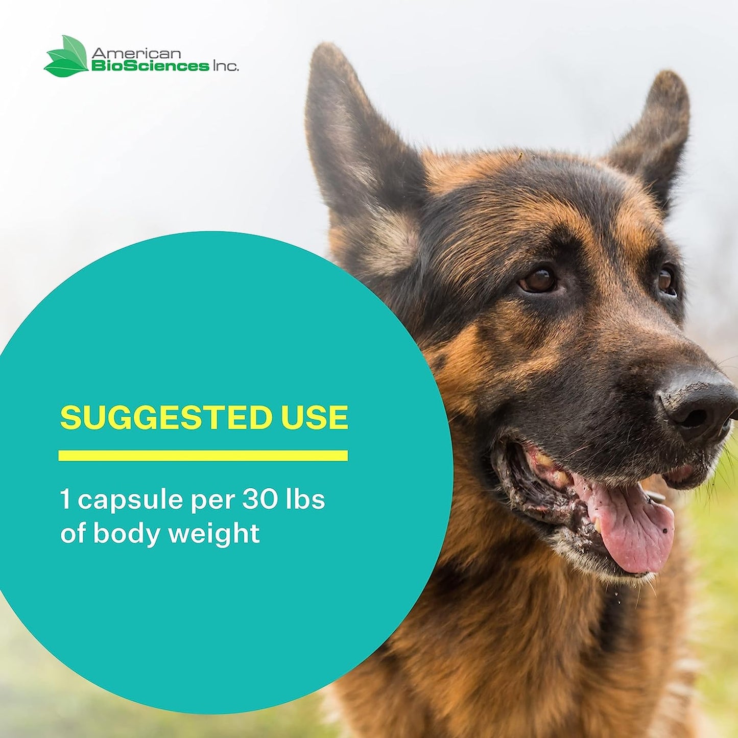 
                  
                    NK-9® - AHCC Immune System Mushroom Extract for Pets
                  
                